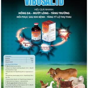 Alternative view of Vibosal td 20ml - Hộp 10 lọ