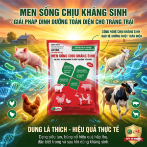 LIKE MEN SỐNG CHỊU KHÁNG SINH 1kg - Thùng 15 kg