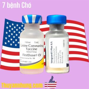 Alternative view of VACCINE ZOETIS VANGUARD PLUS 5 CVL- 7 bệnh chó - Cặp 7Benh