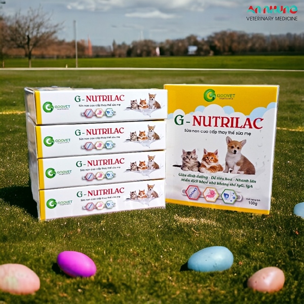 Goovet G Nutrilac Pet milk - Sữa thay thế dành chó mèo 100gr - Hộp - Ảnh 2