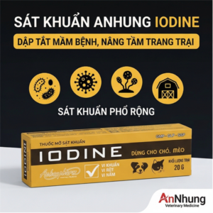 Á Châu IODINE (mỡ bôi) - sát trùng vết thương, trị nấm - Tuýp 20gr