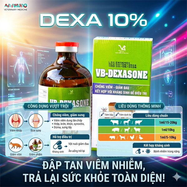 VB DEXASONE 100ML - chai/100ml - Ảnh 5