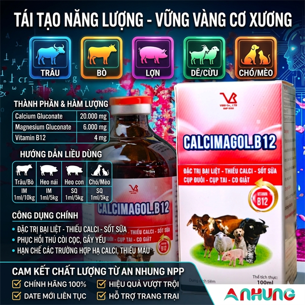 VB CALCIMAGOL B12 (CA MG B12) 100ml - chai 100ml - Ảnh 3