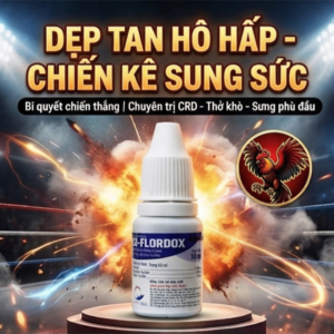 NPD Flordox Oral 10ml - Hen khẹc, Thương hàn, Tụ huyết trùng - Hộp 20 lọ