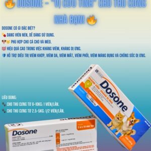 Á Châu Dosone (PET) Hộp - Kháng viêm, chống dị ứng - Hộp 20 viên