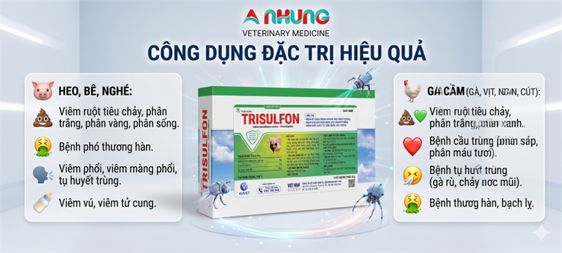 Via Trisulfon 20g - Sulfa Trime - Hộp 25 gói
