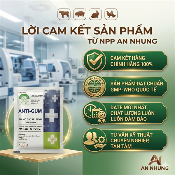 NThái Anti Gum-Para 20% + Neomycin - Bịch 50 gói - Ảnh 3