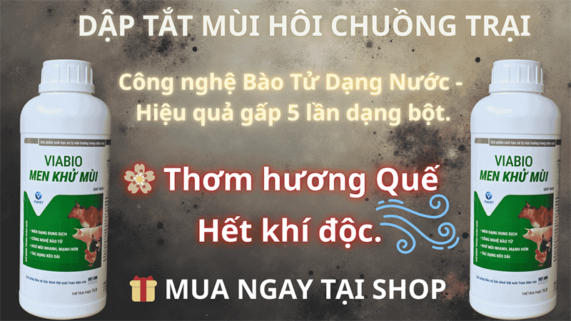 VIABIO - Men Khử Mùi 1 lít - Chai - Ảnh 3