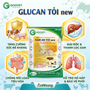 GOOVET GLUCAN TỎI - Gói 1Kg