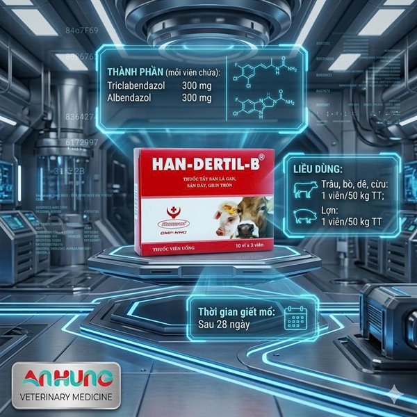 HANDEXRTIL B (viên 50kg thể trọng) - Hộp 30 viên - Ảnh 5