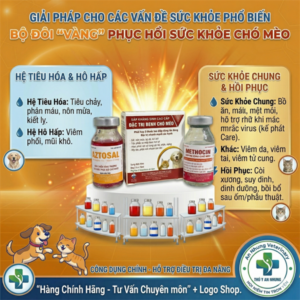 VIAVET Kháng sinh Chó, Mèo cao cấp - Cặp
