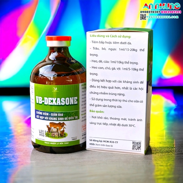 VB DEXASONE 100ML - chai/100ml - Ảnh 4