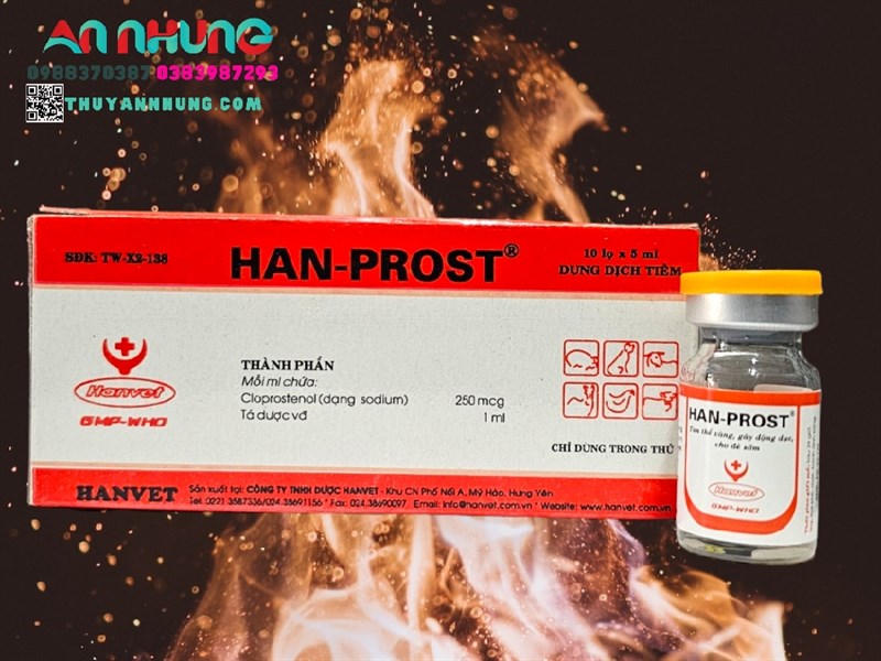 Han Prost - Ống - Tan thể vàng, gây động dục, cho đẻ sớm 🎉 - Hộp 10 ống - Ảnh 3