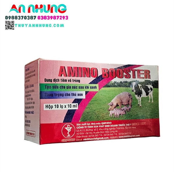 Minh Huy Amino Boster (Kích sữa) 10ml - Hộp 10 lọ