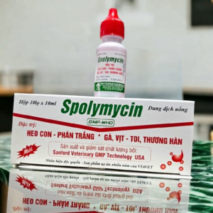 VIAVET Spolymycin Oral 10ml - Colistin, tiêu chảy nước hồng - Hộp 10 lọ