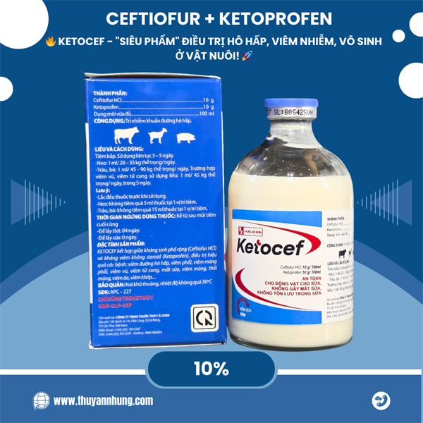 Á CHÂU KETOCEF 100ml - Cef 10% Ketoprofen 10% - Chai 100ml - Ảnh 2