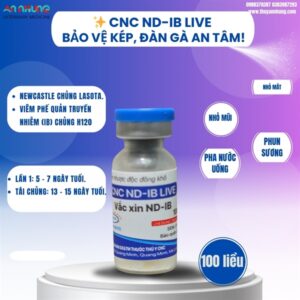 Vaccine CNC NDIB (New)- 100liều - Lọ