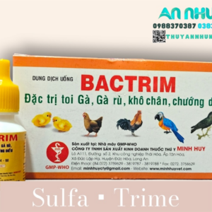 Minh Huy Bactrim ( SulfaTrime ) 10ml - Gà rù, gà toi, khô chân, chướng diều - Lọ