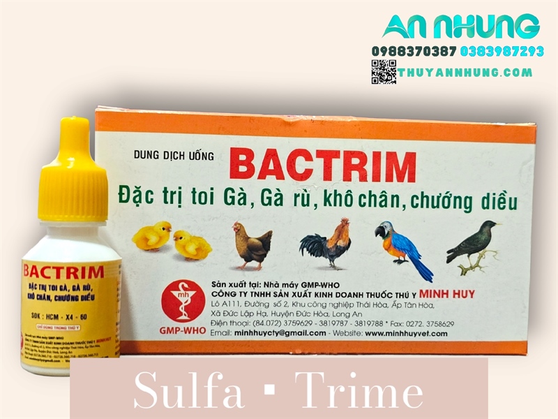 Minh Huy Bactrim ( SulfaTrime ) 10ml - Gà rù, gà toi, khô chân, chướng diều - thùng 600 lọ