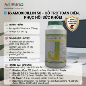 CV Rx AMOXICILLIN 50 - 1kg xá - Jordan Vet. & Agr.Med.Ind.Co. - Lon