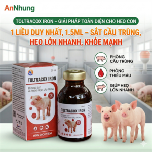Agri Toltracox iron - sắt cầu trùng 20ml - Chai 20ml