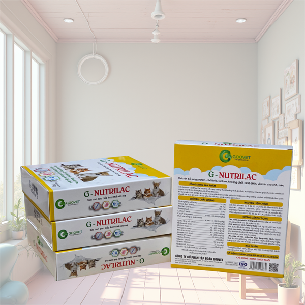 Goovet G Nutrilac Pet milk - Sữa thay thế dành chó mèo 100gr - Hộp - Ảnh 4
