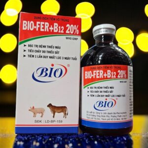 BIO FER B12 20% - Sắt 1 lần - Lọ 100ml
