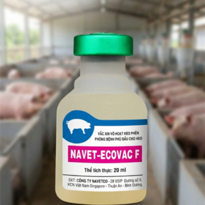 Navetco Ecovac F 20ml ( Ecoli heo con) - Lọ