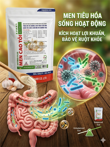 SAGOPHAR - MEN CAO TỎI -1kg (10in1) - Gói - Ảnh 5