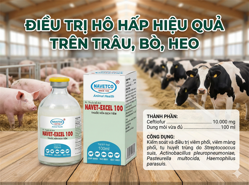 NAVET EXCEL 10% 100ml - Ceftifour - Lọ 100ml - Ảnh 2