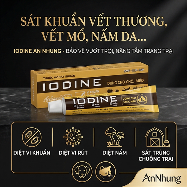 Á Châu IODINE (mỡ bôi) - sát trùng vết thương, trị nấm - Tuýp 20gr - Ảnh 3