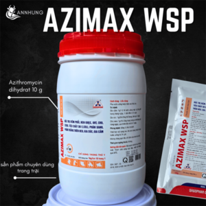 SAGOPHAR AZIMAX WSP (AZITHROMYCIN) 1 Kg - Lon 10in1