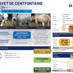Alternative view of BBB TATAYET DE CENTFONTAINE BE 155814595 - 88 Point