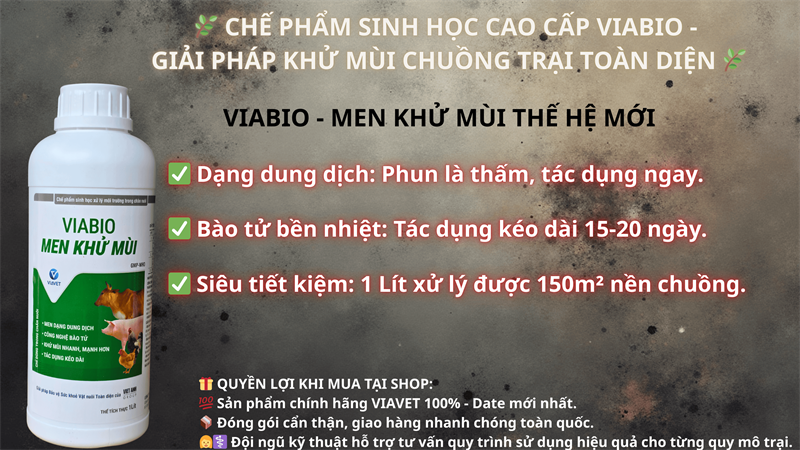 VIABIO - Men Khử Mùi 1 lít - Chai - Ảnh 2