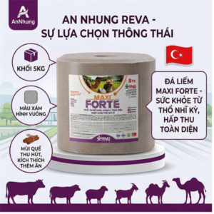 Đá liếm FORTE MAXIFORTE BLOCK ( đá quế vuông nâu)- viên 5kg - Thổ Nhĩ Kỳ
