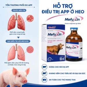 Alternative view of Á CHÂU MEFUXIN - FLUNIXIN 5% 100ml - Lọ