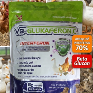 VB GLUKAFERON.C 1kg - kháng thể Virus Interferon >70% - Gà Vịt - Gói 10in1