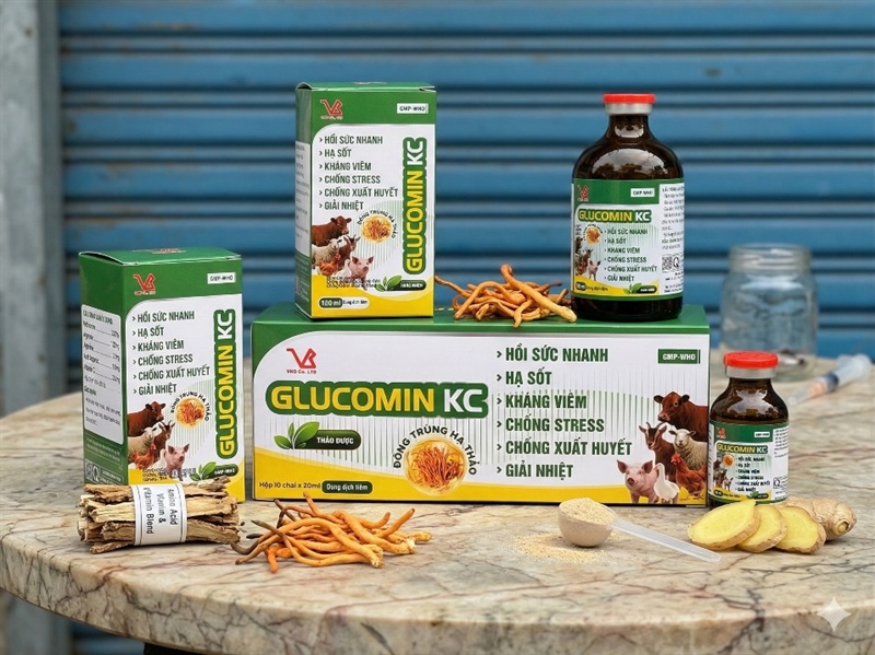 VB Gluco kc (Đông Trùng Thảo Dược) - Lọ