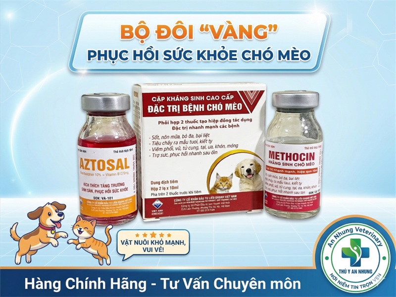 VIAVET Kháng sinh Chó, Mèo cao cấp - Cặp - Ảnh 4