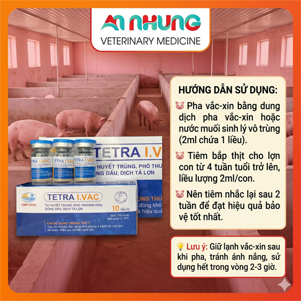 Vaccine Tứ Liên - Tetra I.Vac 10 Liều - Lọ - Ảnh 5