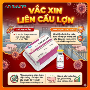 Hanvet Vaccine Liên Cầu Lợn 10 liều - Lọ 10 Liều