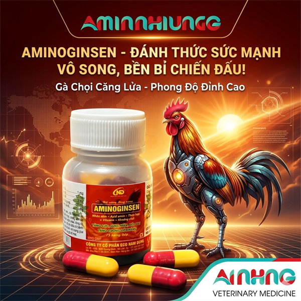 ND AMINOGINSEN - Viên Nang Tăng Lực Gà Đá - Sung Mãn, Bền Sức, Đỏ Tích, Đẹp Lông - (Hũ 15 Viên) - Hũ 15 viên
