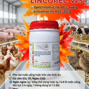 Alternative view of SAGOPHAR LINCOSPEC WS - Hàm Lượng Cao - 1kg - Lon 10in1