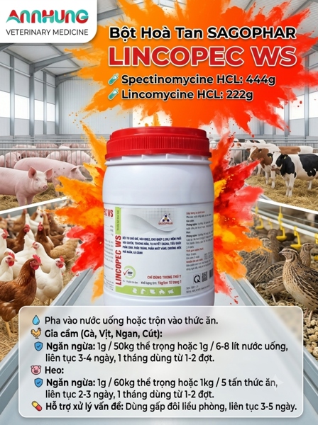 SAGOPHAR LINCOSPEC WS - Hàm Lượng Cao - 1kg - Lon 10in1 - Ảnh 2