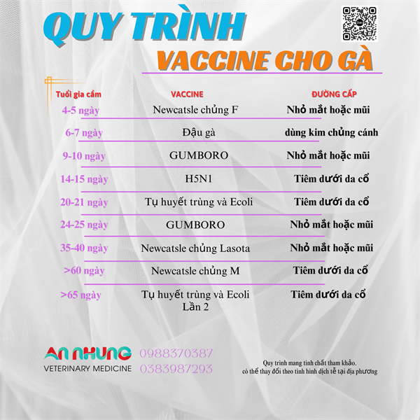 Vaccine Navetco - Newcatsle F (chủng F) - lọ 100 liều - Ảnh 3