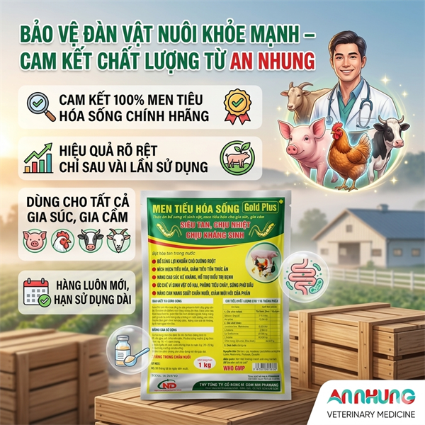 ND MEN TIÊU HÓA SỐNG - GOLD PLUS - 1kg - Gói 5in1 - Ảnh 3