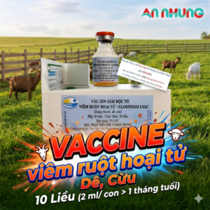 Vaccine Phân Viện- Viêm Ruột Hoại Tử Dê - Lọ 10 liều