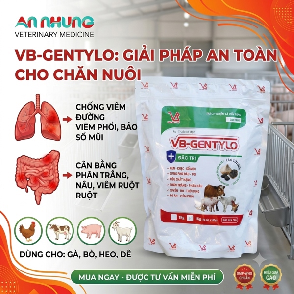 VB - GENTA TYLO 1kg - Cao tỏi đen, đông trùng hạ thảo - Gói (10in1) - Ảnh 5