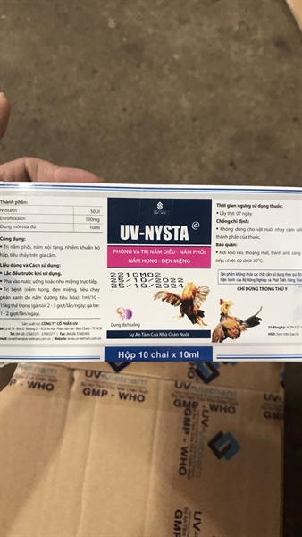 UV NYSTA 10ml - Hộp 10 lọ - Ảnh 2