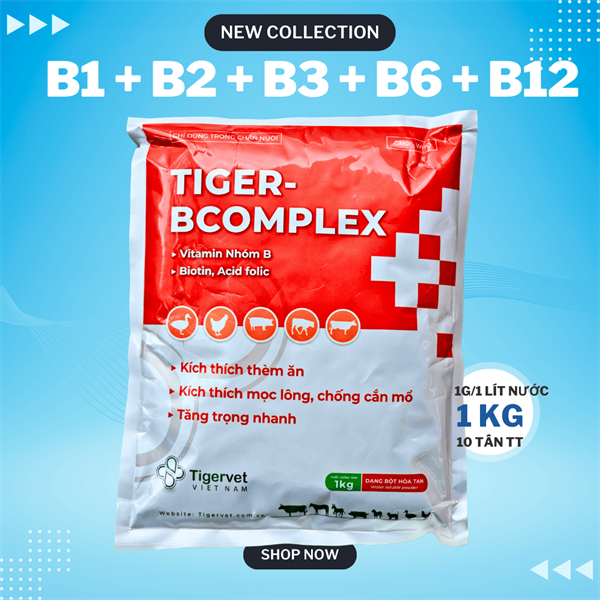TIGERVET BCOMPLEX 1 KG - Gói 1kg (5 in 1)